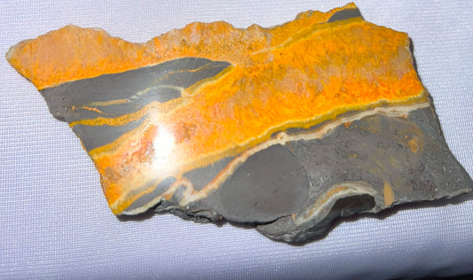Bumblebee Jasper slab