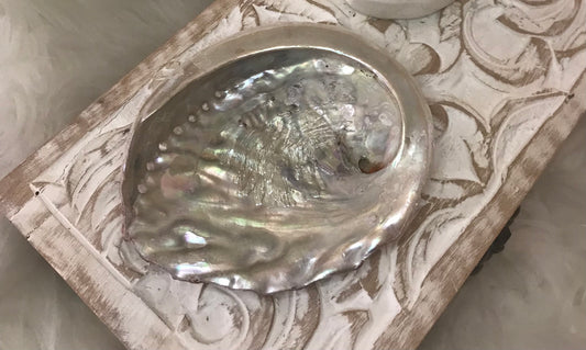 Abalone shell