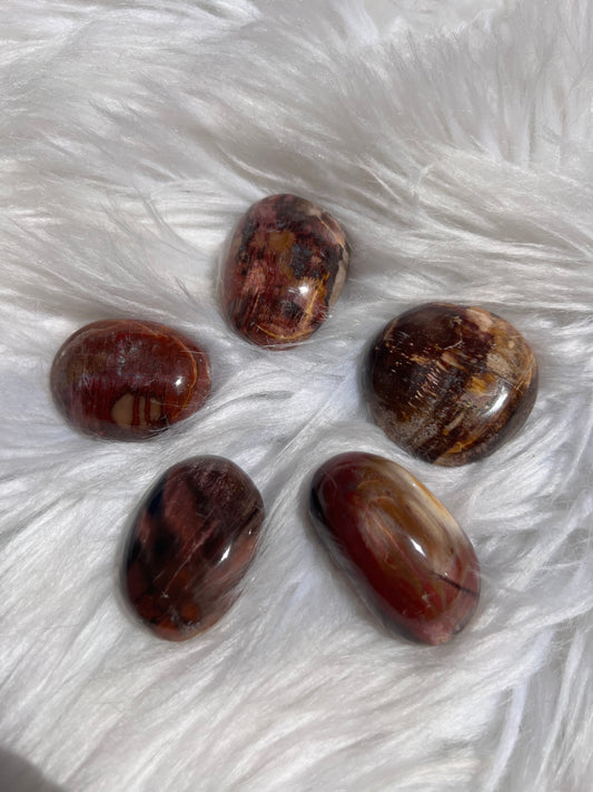 Petrified Wood pebble